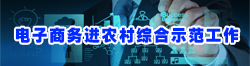電子商務進農村綜合示范工作